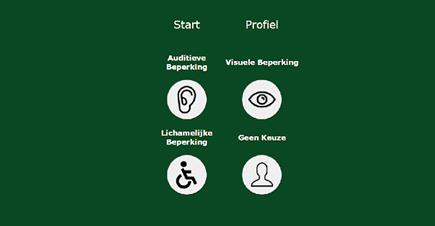 Visual display of the profile filters of the application: auditive impairment, visual impairment, physical impairment, no choice.