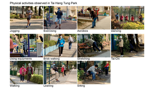The activities of older people in the two parks are different. NCPA has more social activities, and THTP is mainly for physical activities.